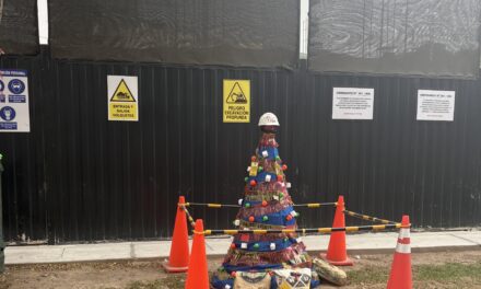 Reversión de Escisiones inscritas: Comentarios a la Res. 4320 -2025 – SUNARP del Tribunal Registral de octubre de 2025